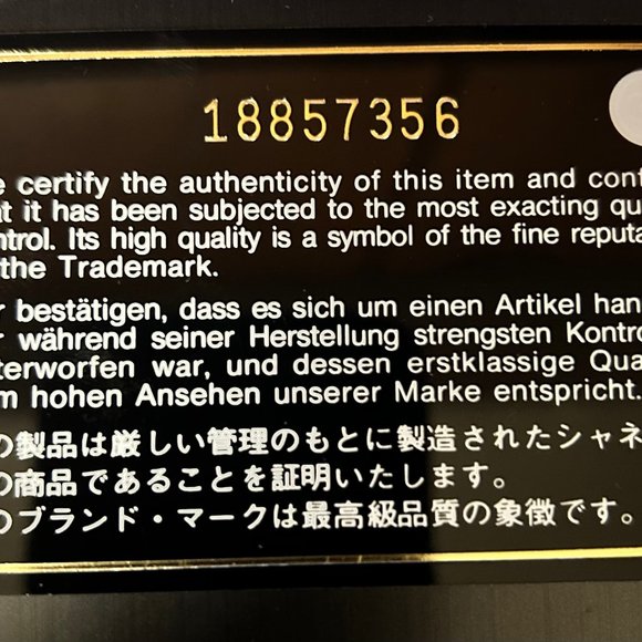 Chanel Sac Hobo Bag - Picture 8 of 9